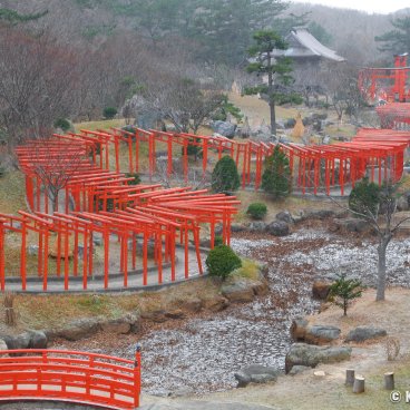 Takayama Inari-jinja (Aomori), Senbon-Torii tunnel and vegetation in winter