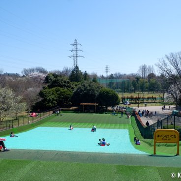 Koganei Park (Tokyo), Outdoor playground for children
