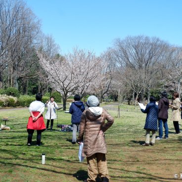 Koganei Park (Tokyo), A choir during their outdoor practice