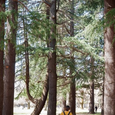 Koganei Park (Tokyo), Path in the forest