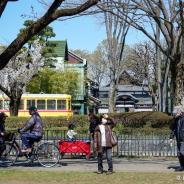 Koganei Park (Tokyo), Train running along the park