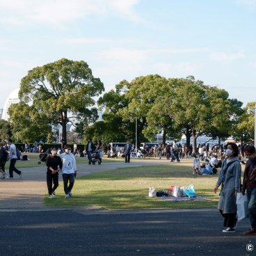 Yamashita Park (Yokohama), People taking a walk on a weekend or holiday