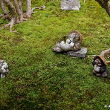 Bishamon-do (Kyoto), Tanuki statues in a moss garden