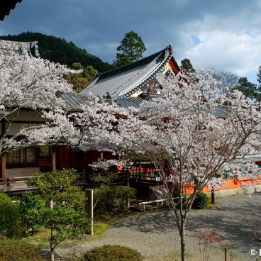 Bishamon-do (Kyoto), Reiden pavilion and main sacred enclosure in spring
