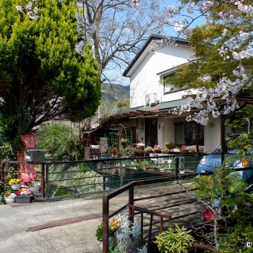 Lake Biwa Yamashina Canal (Kyoto), Flowered house on the bank of the Ansho-ji river