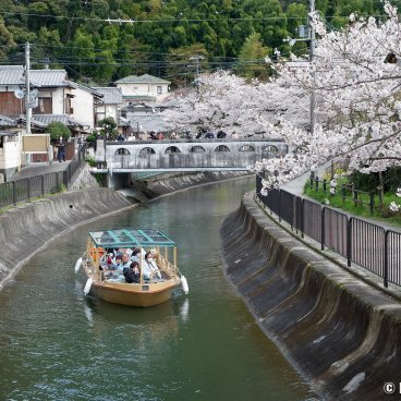Lake Biwa Yamashina Canal (Kyoto), Anshu-bashi bridge and cruise on the river in spring