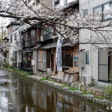 Kiyamachi-dori (Kyoto), View on the shops along the river