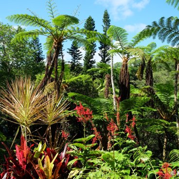 Dino Park (Nago, Okinawa), View on Yanbaru subtropical forest
