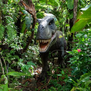 Dino Park (Nago, Okinawa), Tyrannosaurus in the park