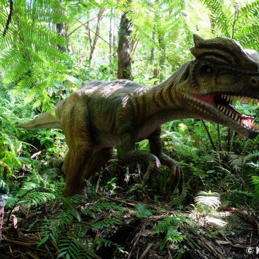 Dino Park (Nago, Okinawa), Dinosaurs replicas in Yanbaru Forest 2