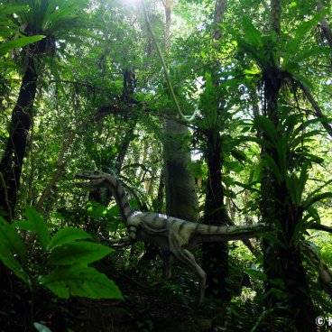 Dino Park (Nago, Okinawa), Dinosaurs replicas in Yanbaru Forest