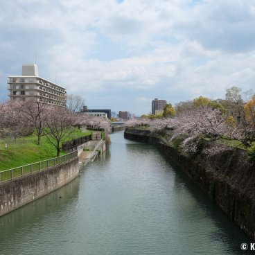 Osaka Gokoku-jinja, View on the Sumiyoshi River near the shrine