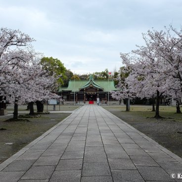 Osaka Gokoku-jinja, Cherry trees and Haiden Hall dedicated to soldiers who died for the nation