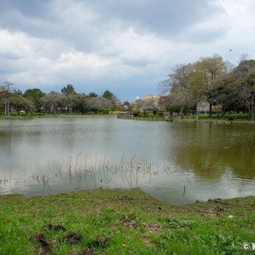 Osaka Gokoku-jinja, Suminoe Park near the shrine 2