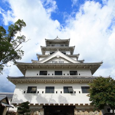 Imabari Castle (Shikoku), Tenshukaku keep