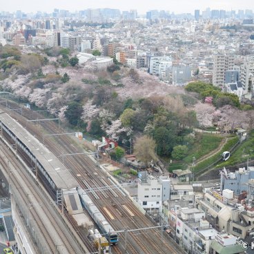Oji (Tokyo), View on Asukayama Park and the station from Hokutopia's Observatory