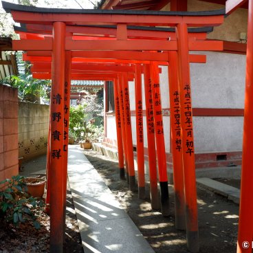 Oji (Tokyo), Small torii gates tunnel at Oji Inari-jinja shrine