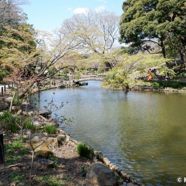 Shin-Edogawa Garden (Tokyo), Strolling path around the pond