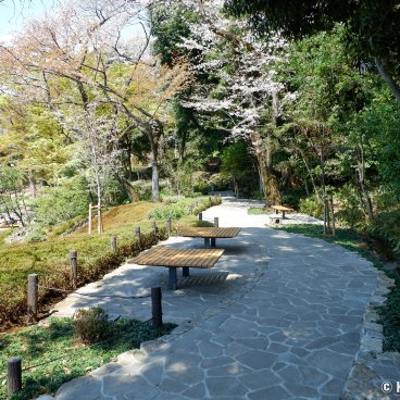 Shin-Edogawa Garden (Tokyo), Benches arranged for contemplating the garden