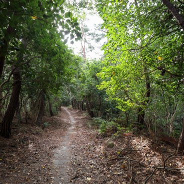 Takozushiyama (Wakayama), Walking trail