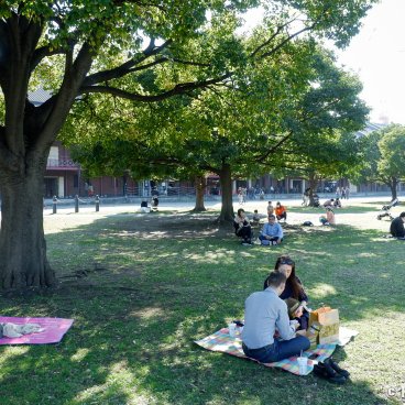 Akarenga Soko Warehouse (Yokohama), Picnic areas in the park surrounding the buildings