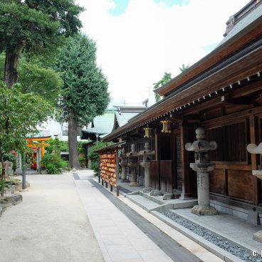 Kushida-jinja (Fukuoka), On the shrine's grounds