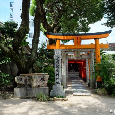 Kushida-jinja (Fukuoka), Torii gates tunnel at Inari shrine