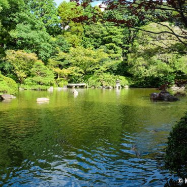 Yusentei Park (Fukuoka), View on the pond in summer 3