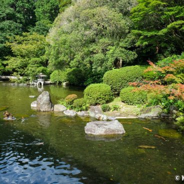 Yusentei Park (Fukuoka), View on the pond in summer