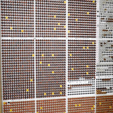 Hanno Ozawa Hanko shop (Fuji City), Display of the most widespread stamps