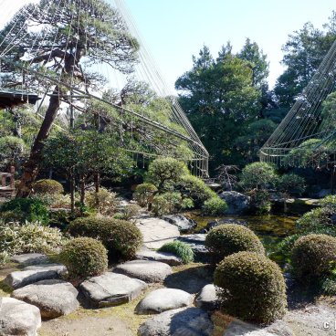 Katsushika (Tokyo), Yamamoto-tei teahouse's Japanese garden in winter
