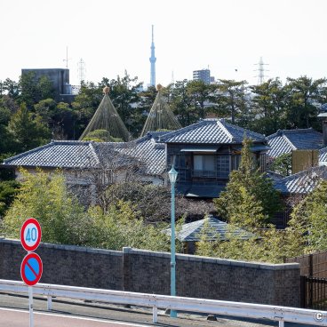 Katsushika (Tokyo), View on Yamamoto-tei teahouse's roofs and the Tokyo SkyTree