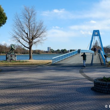 Katsushika (Tokyo), Mizumoto Park on the bank of the Edo-gawa River in winter