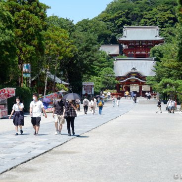 Tsurugaoka Hachimangu (Kamakura), Central pathway in the shrine's grounds in summer