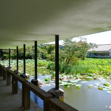 Tsurugaoka Hachimangu (Kamakura), Heike pond viewed from Bunkakan Tsurugaoka Museum