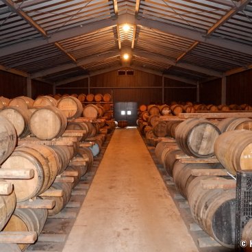 Venture Chichibu Distillery, Barrels of Ichiro's Malt whiskey in the maturation process