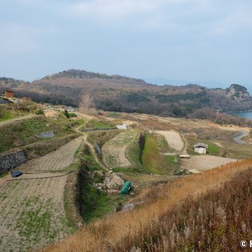 Teshima (Shikoku), View on the rice paddies in winter from the Teshima Art Museum