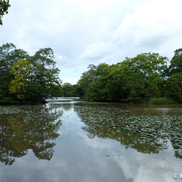 Onuma Park (Hokkaido), View on Lake Onuma and its islets