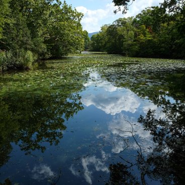 Onuma Park (Hokkaido), View on Lake Onuma and waterlilies at the end of summer