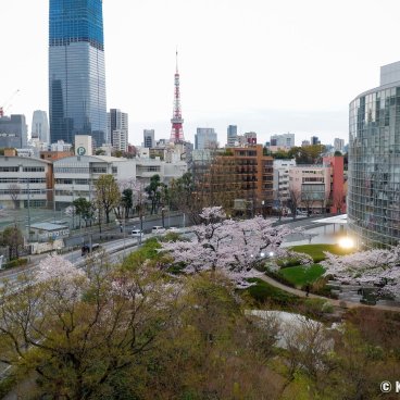 Roppongi Hills (Tokyo), View on Toranomon Hills, Tokyo Tower and TV Asahi headquarters during the sakura season