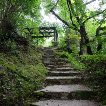 Niiyama-jinja (Kanzaki, Saga), Stairway under the green maple trees in summer