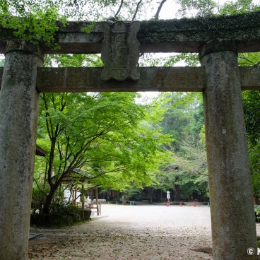Niiyama-jinja (Kanzaki, Saga), Stone torii gate