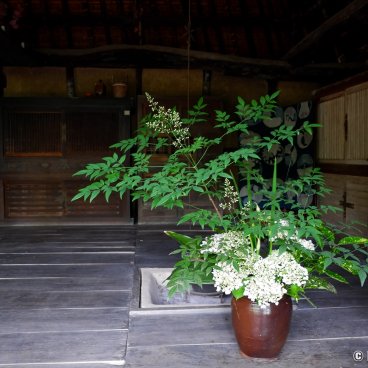 Shikoku Mura (Takamatsu), Nakaishi Family House