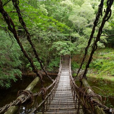 Shikoku Mura (Takamatsu), Kazurabashi vine bridge