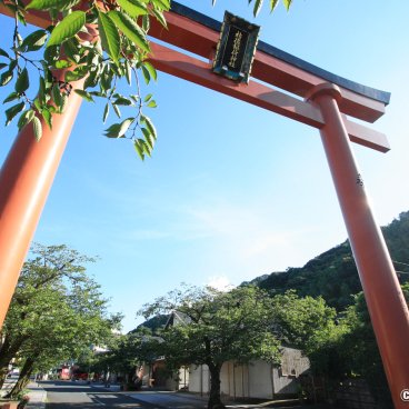 Yutoku Inari-jinja (Kashima, Saga), Great torii gate at the entrance of the shrine enclosure