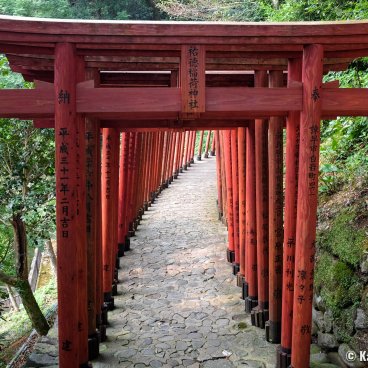 Yutoku Inari-jinja (Kashima, Saga), Red torii gates tunnel