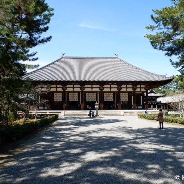 Toshodai-ji (Nara), Hondo main hall