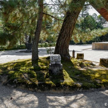 Toshodai-ji (Nara), Pillars of the Hondo hall and view of the temple's grounds