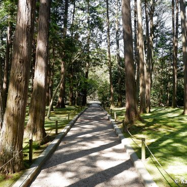 Toshodai-ji (Nara), Quiet path lined with trees at the back of the temple's grounds