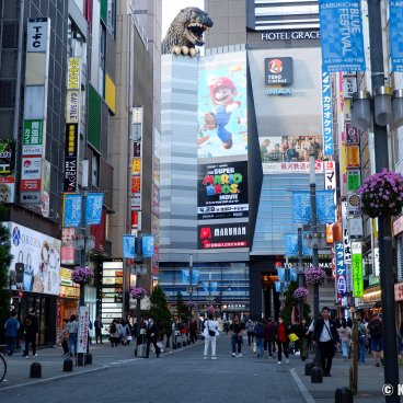 Godzilla Head in Kabukicho (Shinjuku, Tokyo), View from Kabukicho Central Road 2